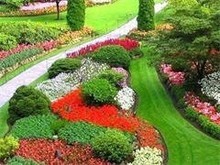 深圳綠化 園林綠化工程施工的實踐與創新